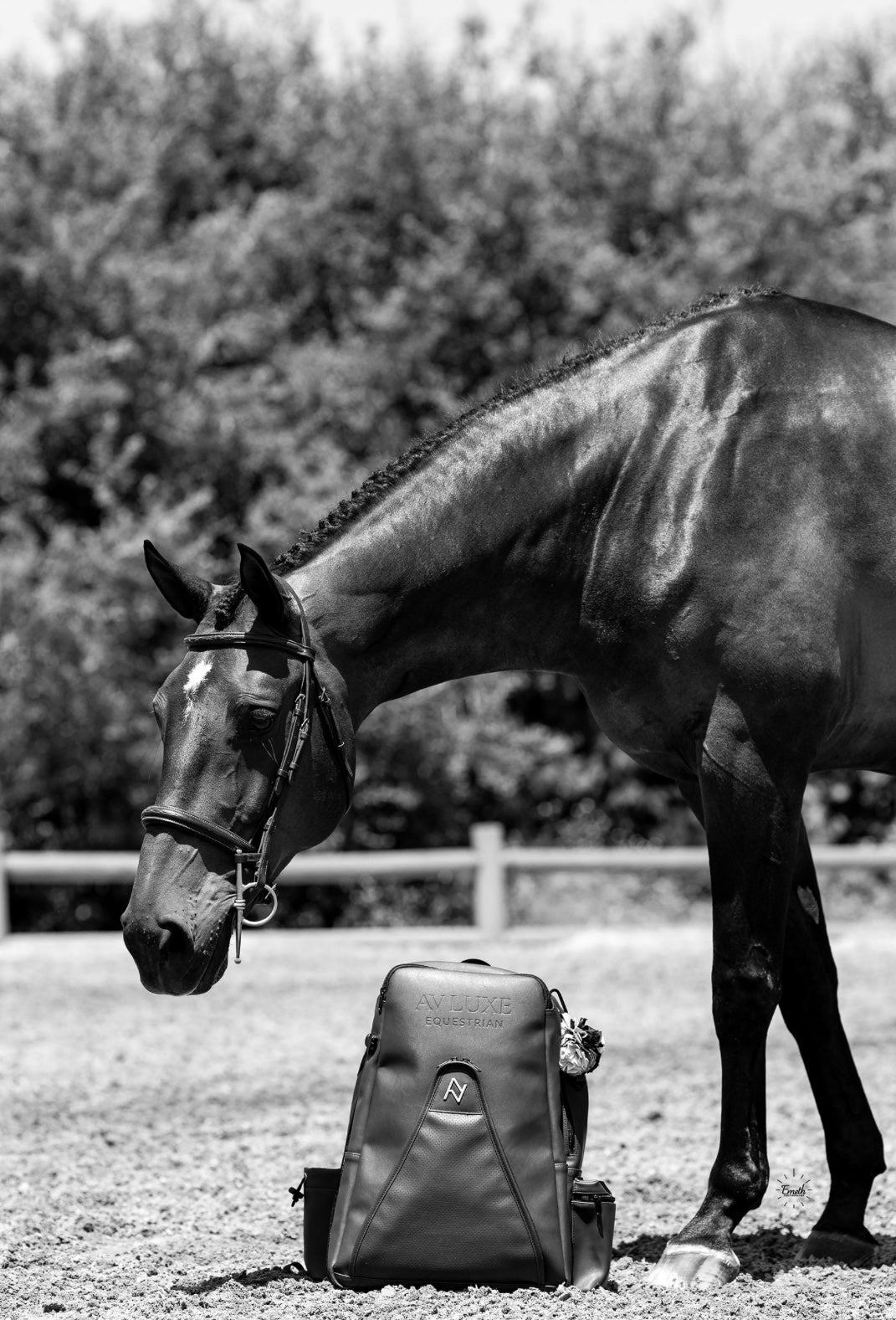 *PRESALE* AV Luxe Backpack