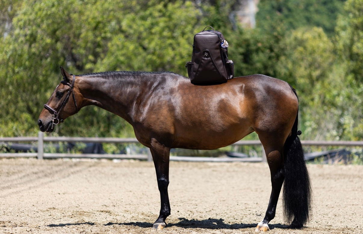 *PRESALE* AV Luxe Backpack